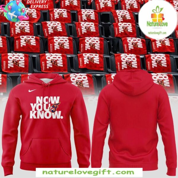 Indiana Fever Nike Hoodie Now You Know Special Edition