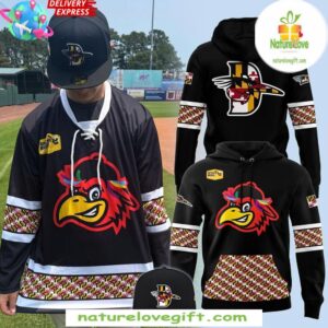 Delmarva Shorebirds 2025 Spicer Bros Limited Hoodie