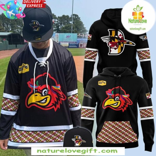 Delmarva Shorebirds 2025 Spicer Bros Limited Hoodie