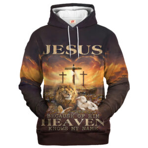 Jesus Microfleece Hoodie – Christian Faith Hoodie Gift | GOD HBLGO46