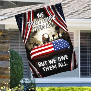 Premium We Own Them All Veteran Flag LTA280613