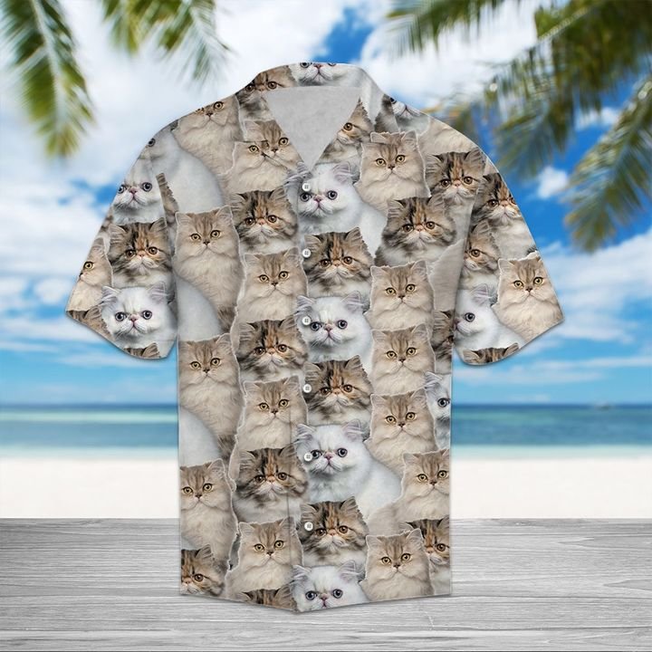 Persian Cat Hawaiian Shirt Summer Button Up Persian Cat Hawaiian Shirt Summer Button Up