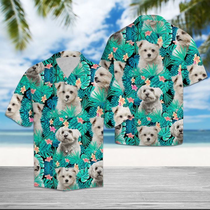 Maltese Tropical Hawaiian Shirt Summer Button Up Maltese Tropical Hawaiian Shirt Summer Button Up