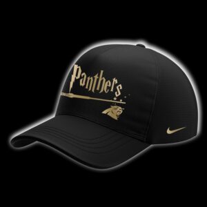 2026 Carolina Panthers Harry Potter 25th Anniversary Special Edition Football Hoodie 2 1.jpg