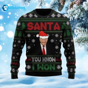 Trump 2024 Santa You Know I Won Ugly Christmas Sweater