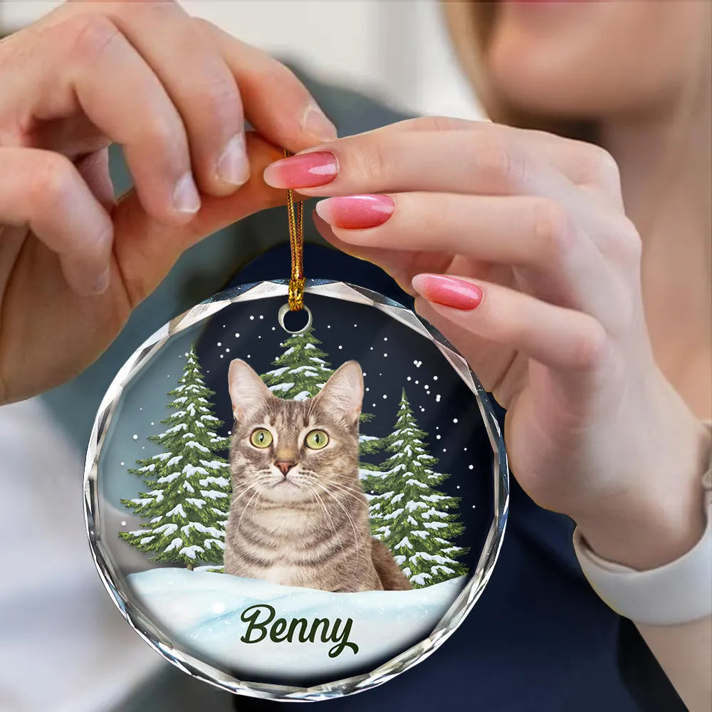 Custom Photo Pet Face – Christmas Gift For Dog Lovers, Cat Lovers, Pet Lovers, Pet Memorial – Personalized Circle Glass Ornament Custom Photo Pet Face – Christmas Gift For Dog Lovers, Cat Lovers, Pet Lovers, Pet Memorial – Personalized Circle Glass Ornament
