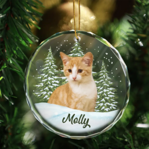 Custom Photo Pet Face - Christmas Gift For Dog Lovers, Cat Lovers, Pet Lovers, Pet Memorial - Personalized Circle Glass Ornament 4 310Mock5.png