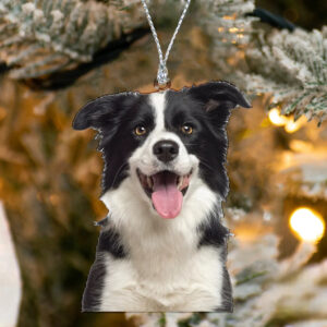 Personalized Acrylic Christmas Family Photo Ornament, Christmas Gifts, Christmas Tree Decor, Family Gifts, Custom Family Keepsake Ornament 2 il 1588xN.5290153536 krp2 1.jpg