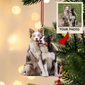 Christmas Ornament Photo Ornament, Personalized Ornament, Custom Family Photo Ornament, Acrylic Picture Ornament, Family Ornaments 5 Dog 1.png
