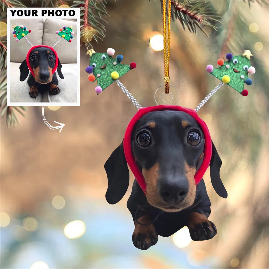 Personalized Dog Photo Ornament, Christmas Gifts, Memorial Gifts, Dog Lover Gifts, Pet Owner Gifts, Custom Christmas Picture Ornament Personalized Dog Photo Ornament, Christmas Gifts, Memorial Gifts, Dog Lover Gifts, Pet Owner Gifts, Custom Christmas Picture Ornament
