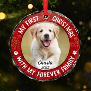 Custom Photo My Adorable Fur Baby Dog & Cat – Personalized Circle Glass Ornament – Christmas Gift For Dog Lovers, Cat Lovers, Pet Lovers