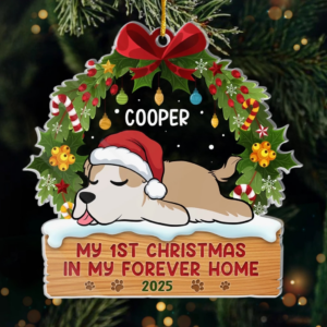 First Paws Under The Tree Dog & Cat – Personalized Custom Shaped Acrylic Ornament – Christmas Gift For Dog Lovers, Cat Lovers