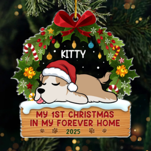 FirstPawsUnderTheTree2.png