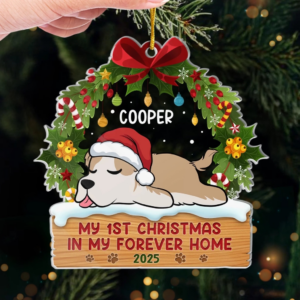 FirstPawsUnderTheTree4.png