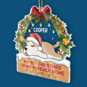 FirstPawsUnderTheTree3.png