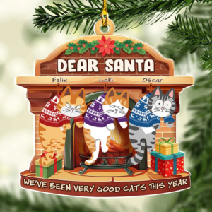 CatsSanta3.png
