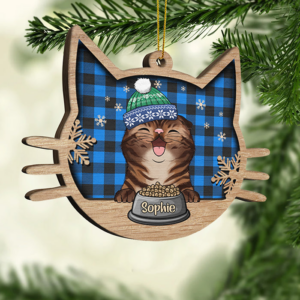 HappyCatOnChristmasDay2.png