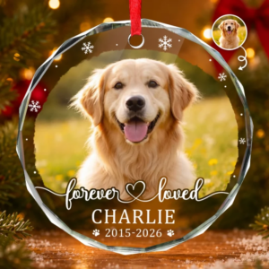 Custom Photo Pet Christmas Memorial Sympathy – Personalized Circle Glass Ornament – Sympathy Gift For Pet Owners, Pet Lovers