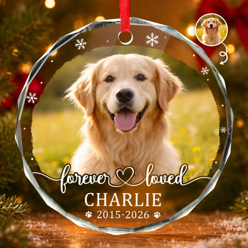 Custom Photo Pet Christmas Memorial Sympathy – Personalized Circle Glass Ornament – Sympathy Gift For Pet Owners, Pet Lovers Custom Photo Pet Christmas Memorial Sympathy – Personalized Circle Glass Ornament – Sympathy Gift For Pet Owners, Pet Lovers