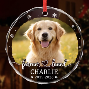 Custom Photo Pet Christmas Memorial Sympathy - Personalized Circle Glass Ornament - Sympathy Gift For Pet Owners, Pet Lovers 1 PetChristmasMemorialSympathyGifts3.png