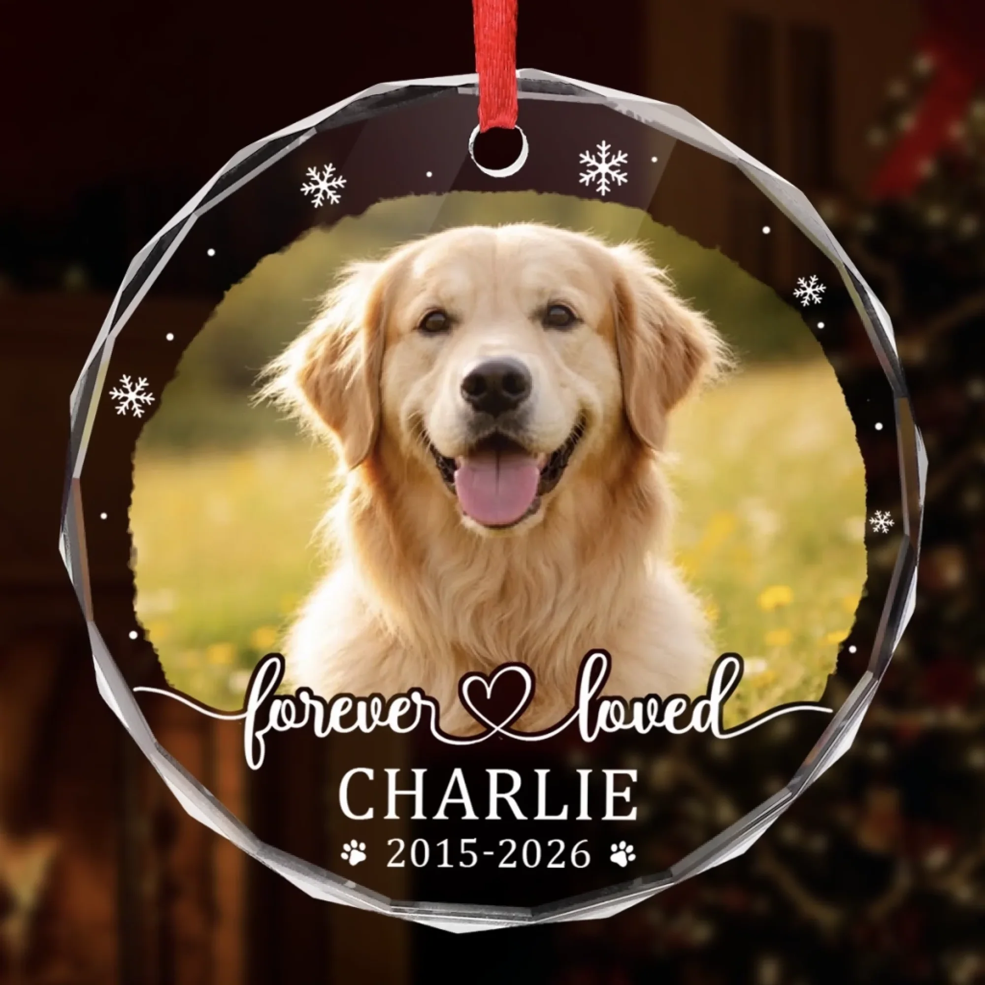 Custom Photo Pet Christmas Memorial Sympathy – Personalized Circle Glass Ornament – Sympathy Gift For Pet Owners, Pet Lovers Custom Photo Pet Christmas Memorial Sympathy – Personalized Circle Glass Ornament – Sympathy Gift For Pet Owners, Pet Lovers
