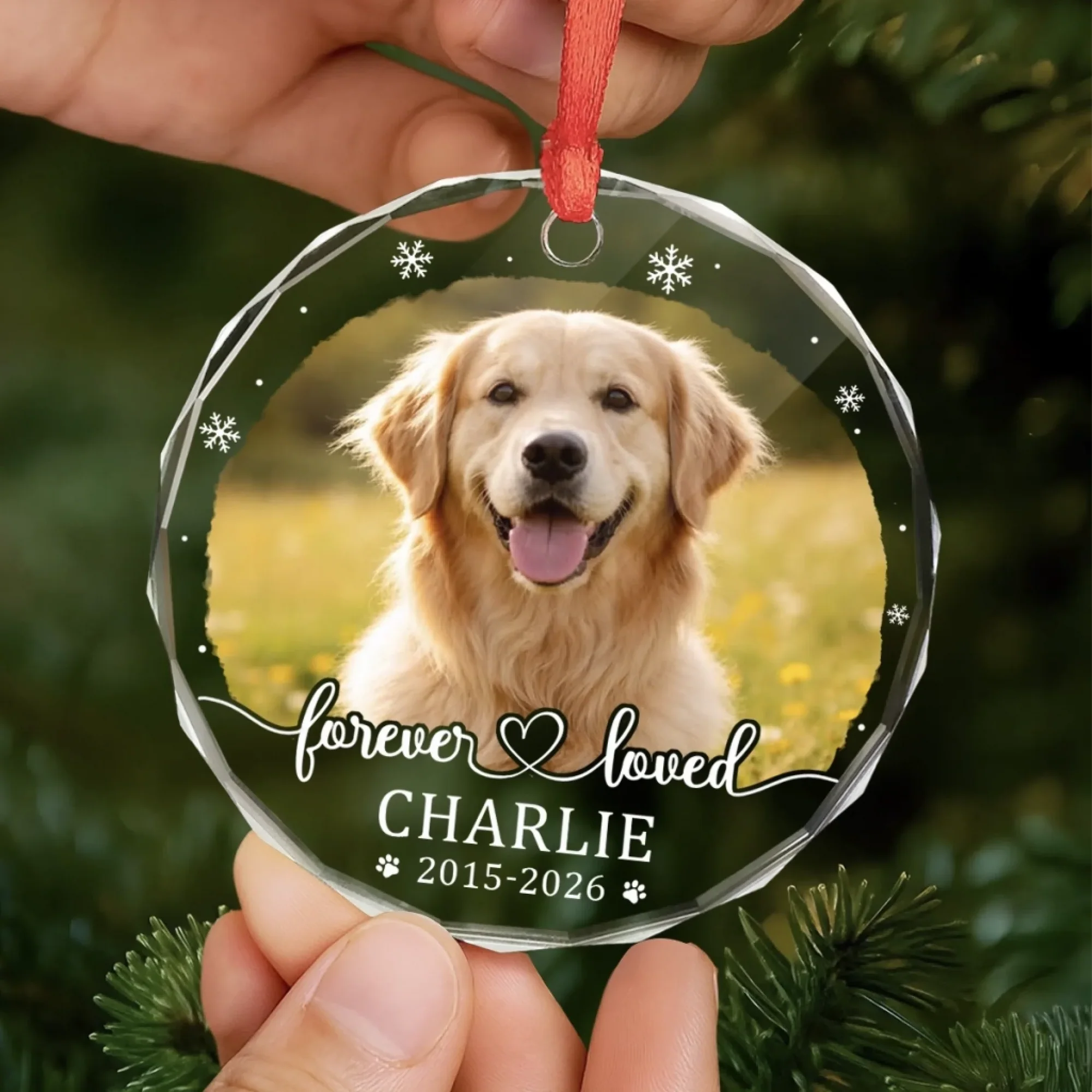 Custom Photo Pet Christmas Memorial Sympathy – Personalized Circle Glass Ornament – Sympathy Gift For Pet Owners, Pet Lovers Custom Photo Pet Christmas Memorial Sympathy – Personalized Circle Glass Ornament – Sympathy Gift For Pet Owners, Pet Lovers