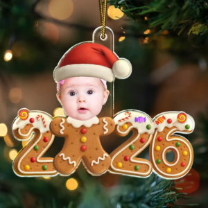 GingerbreadFunnyBabyFirstChristmas3.png