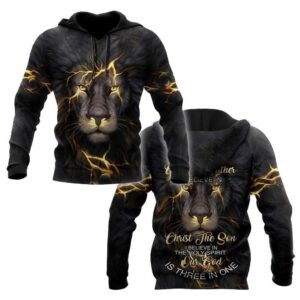 Lion Faith in God I Belive In The Holy Spirit Our God Is Three In One God 3D Hoodie For Man And Women, Jesus Printed 3D Hoodie