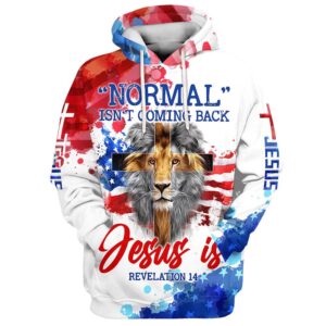 Lion Cross Normal Isn’t Coming Back Jesus Is Hoodies Jesus Hoodie Men & Women, God 3D Printed Hoodie, Christian Apparel Hoodies