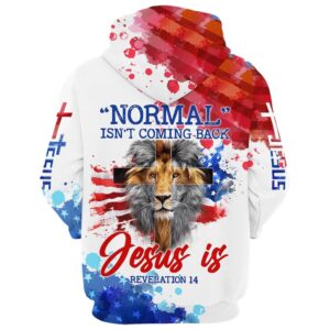 Lion Cross Normal Isn t Coming Back Jesus Is Hoodies Jesus Hoodie Men Women God 3D Printed Hoodie Christian Apparel Hoodies 2 bortuo.jpg