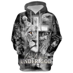 Jesus The Cross Lion Of Judah Hoodie For Men & Women, God 3D Printed Hoodie, Christian Apparel Hoodies